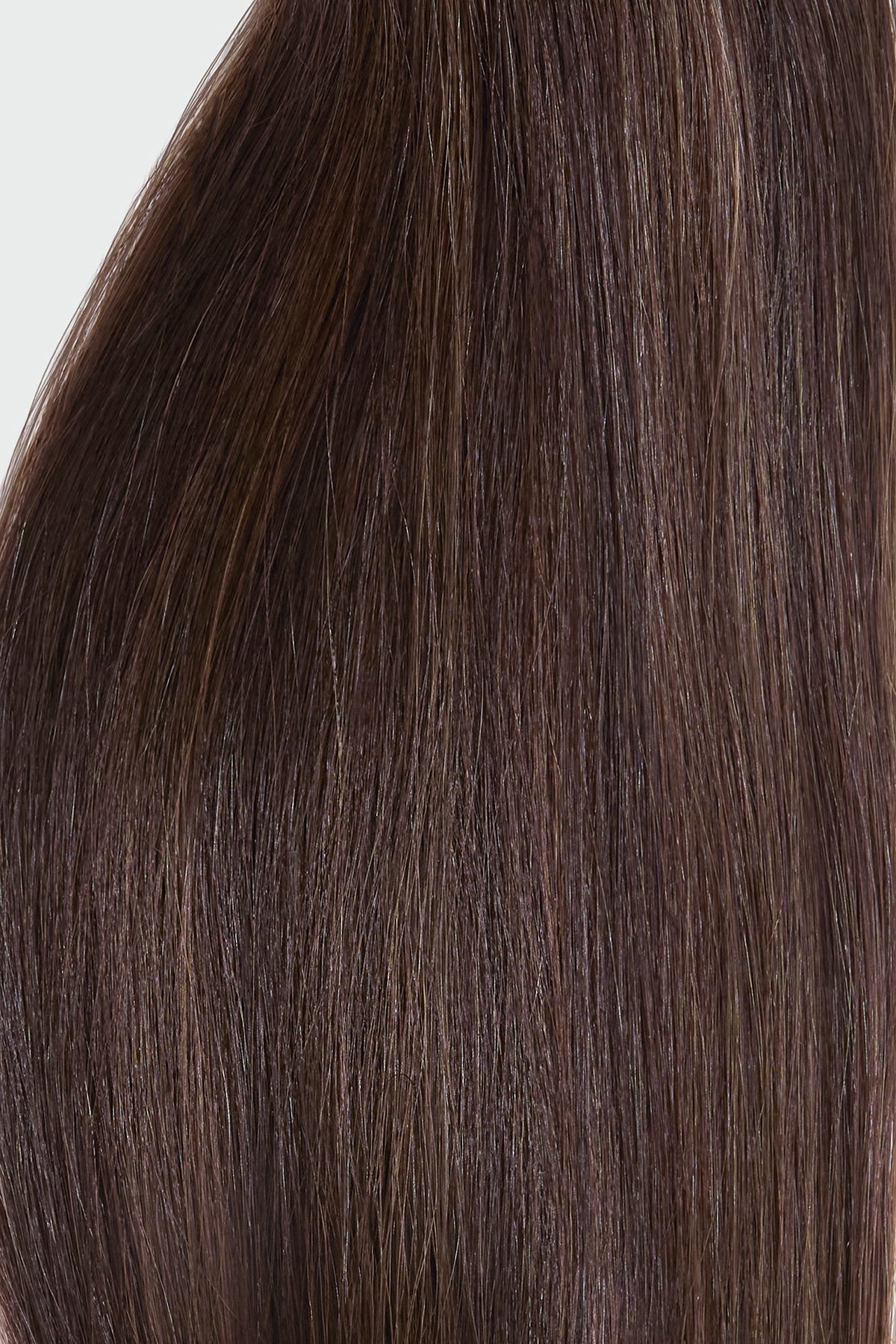 Mocha Brown